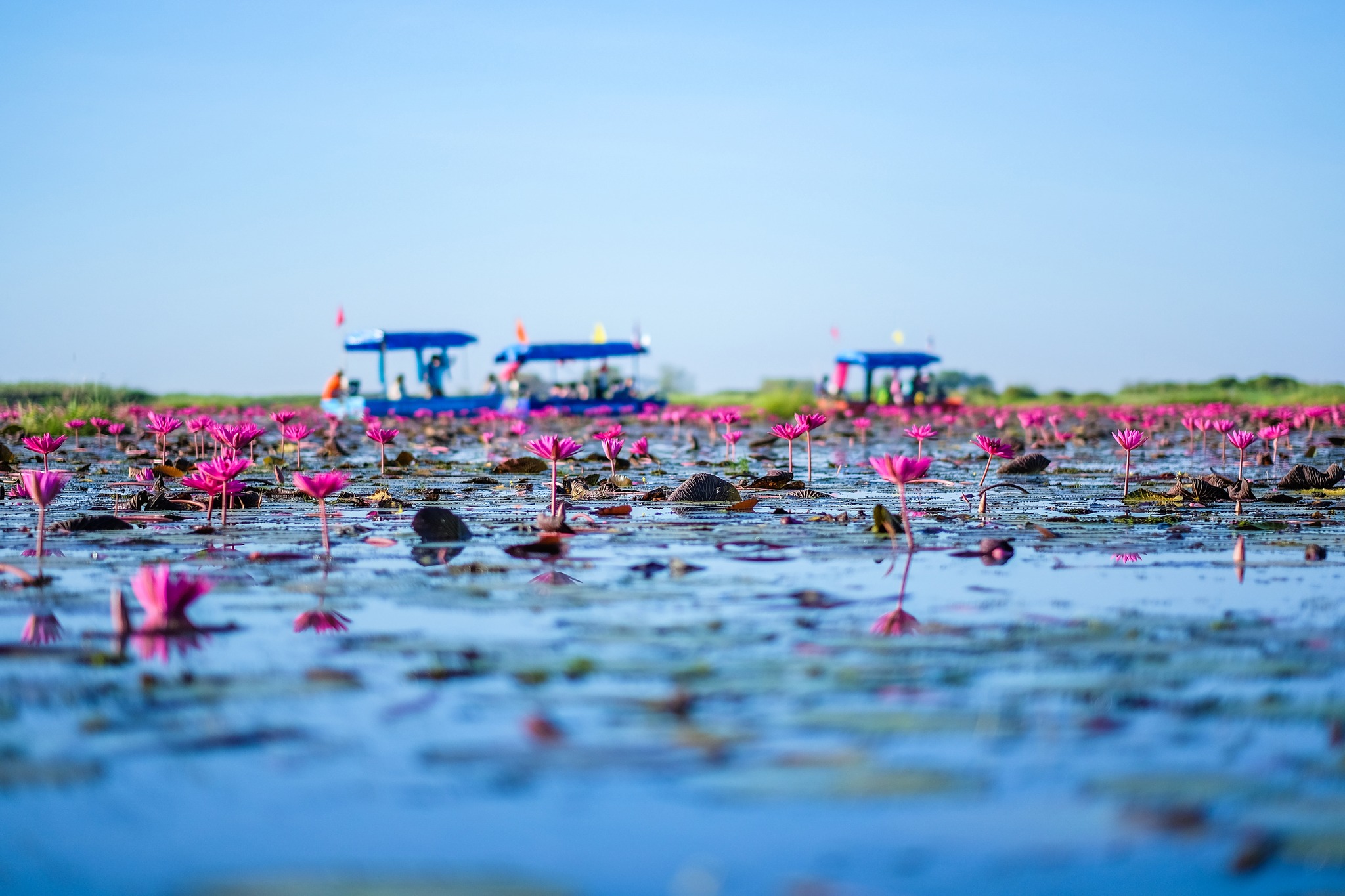 Udon Thani, Udon Thani