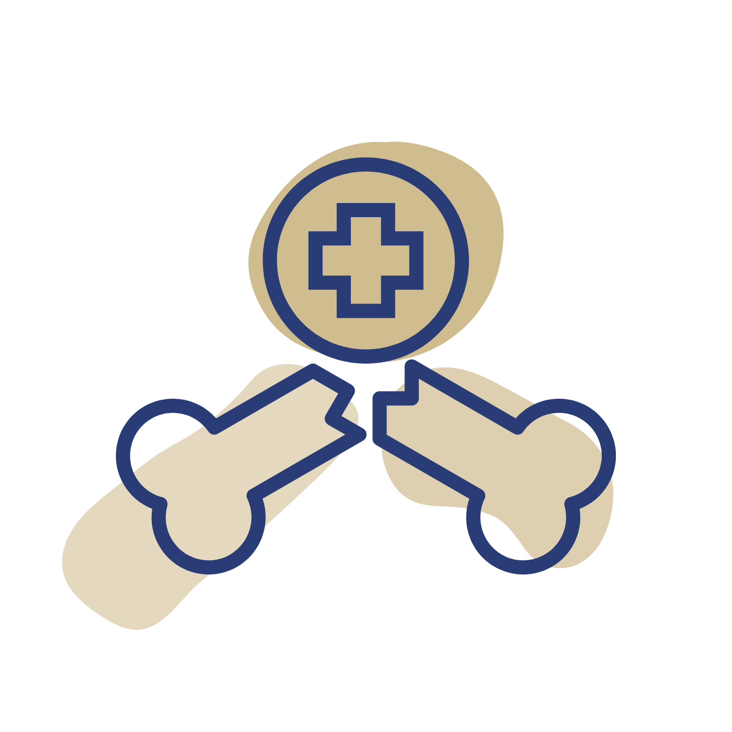 Department of Orthopedic Surgery