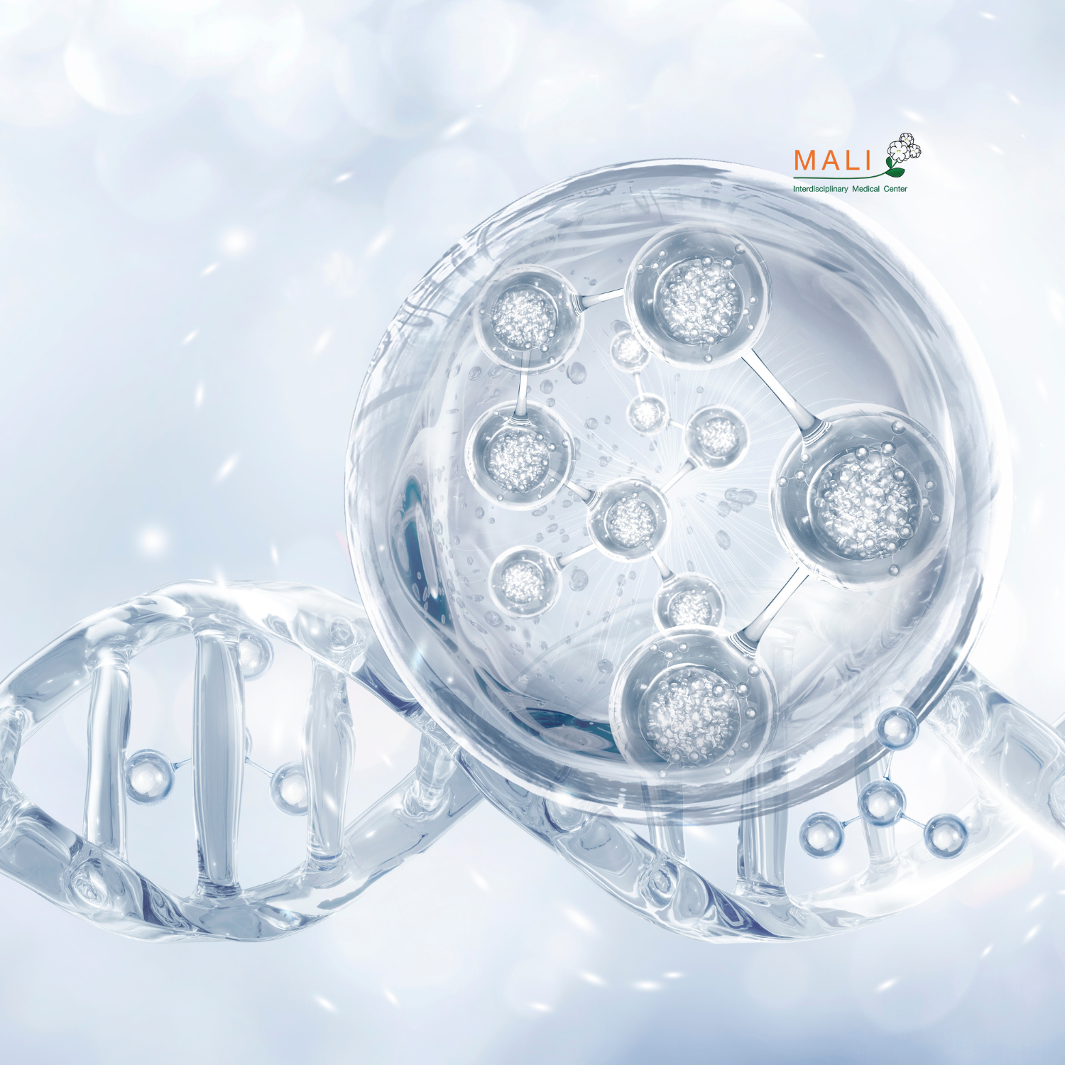 Stem Cell Therapy