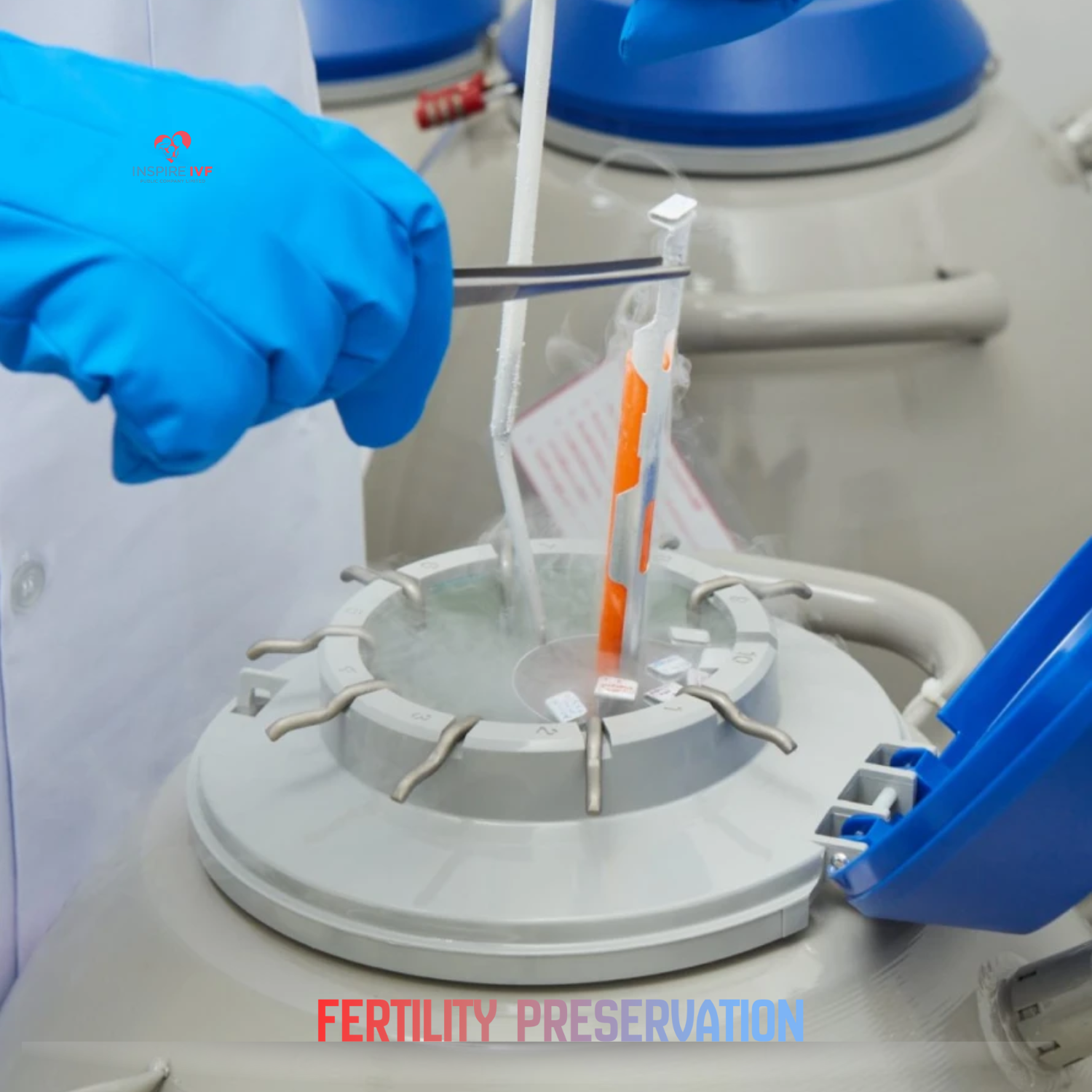 Other Infertility Treatments