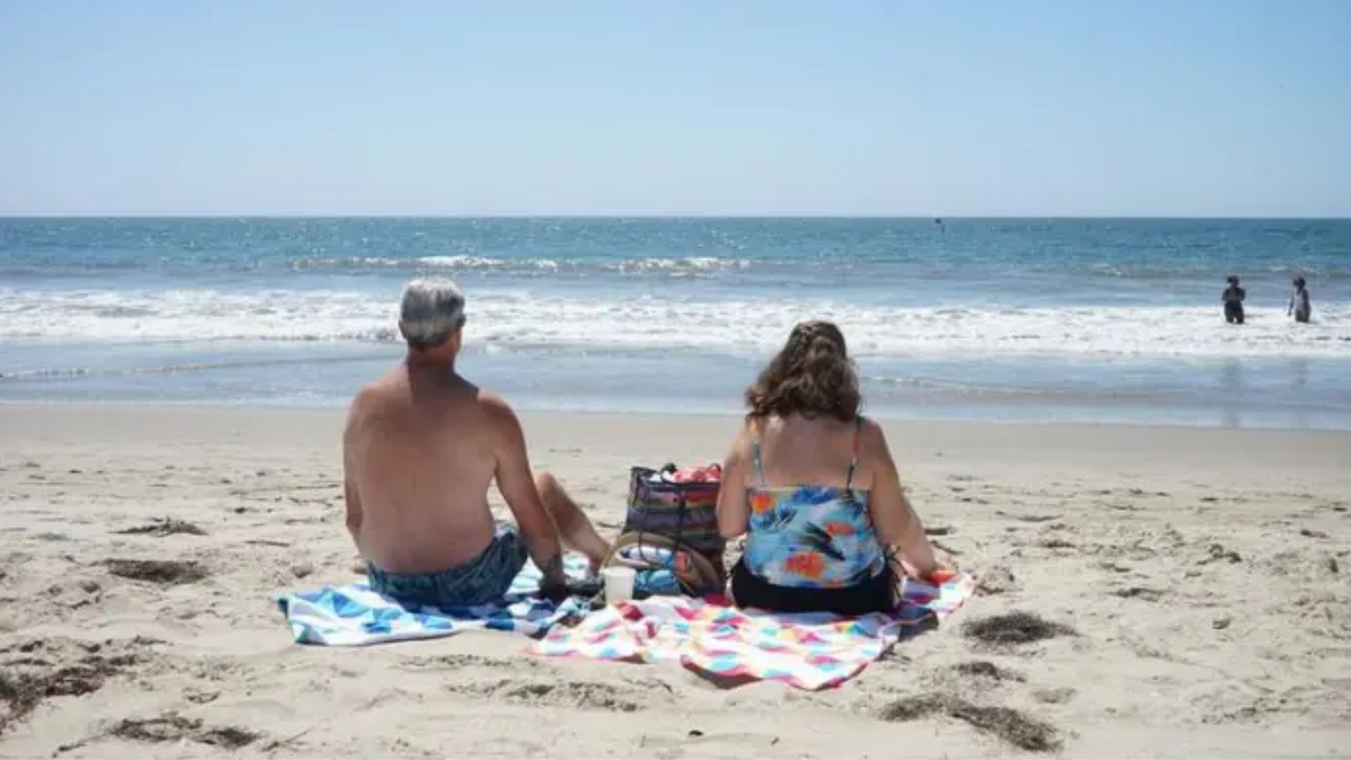 California declara estado de emergencia ante el brote de gripe aviar H5N1