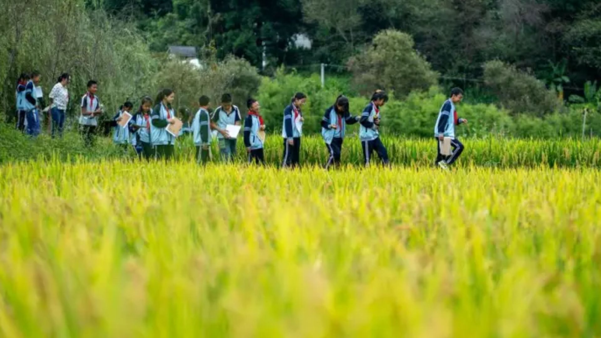 Plus de 120 étudiants se remettent d'une infection à norovirus dans le Yunnan