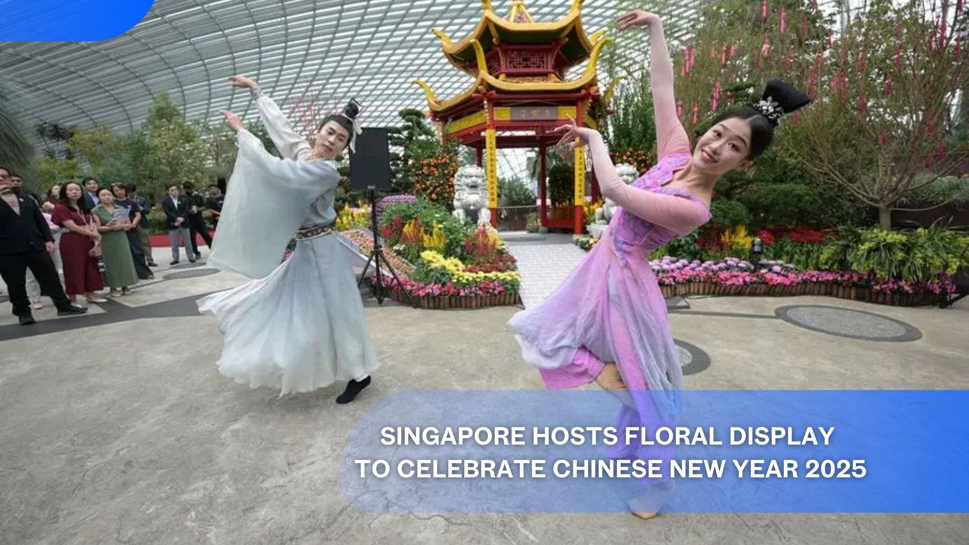 Singapur alberga exhibición floral para celebrar el Año Nuevo Chino 2025