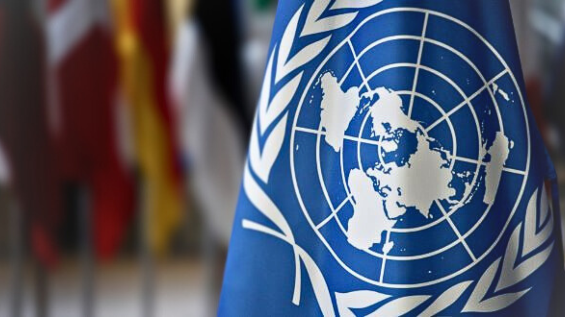 OMS na AGNU: Apelo para ação urgente e de alto nível para enfrentar o flagelo global da resistência antimicrobiana