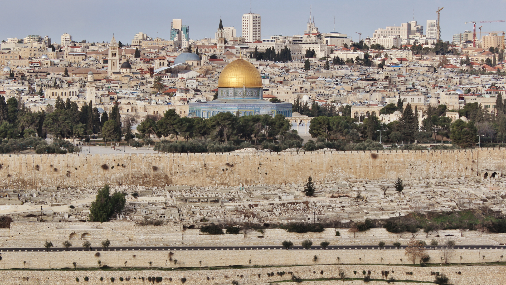 Israel Melaporkan Wabah Influenza Burung di Peternakan Kalkun