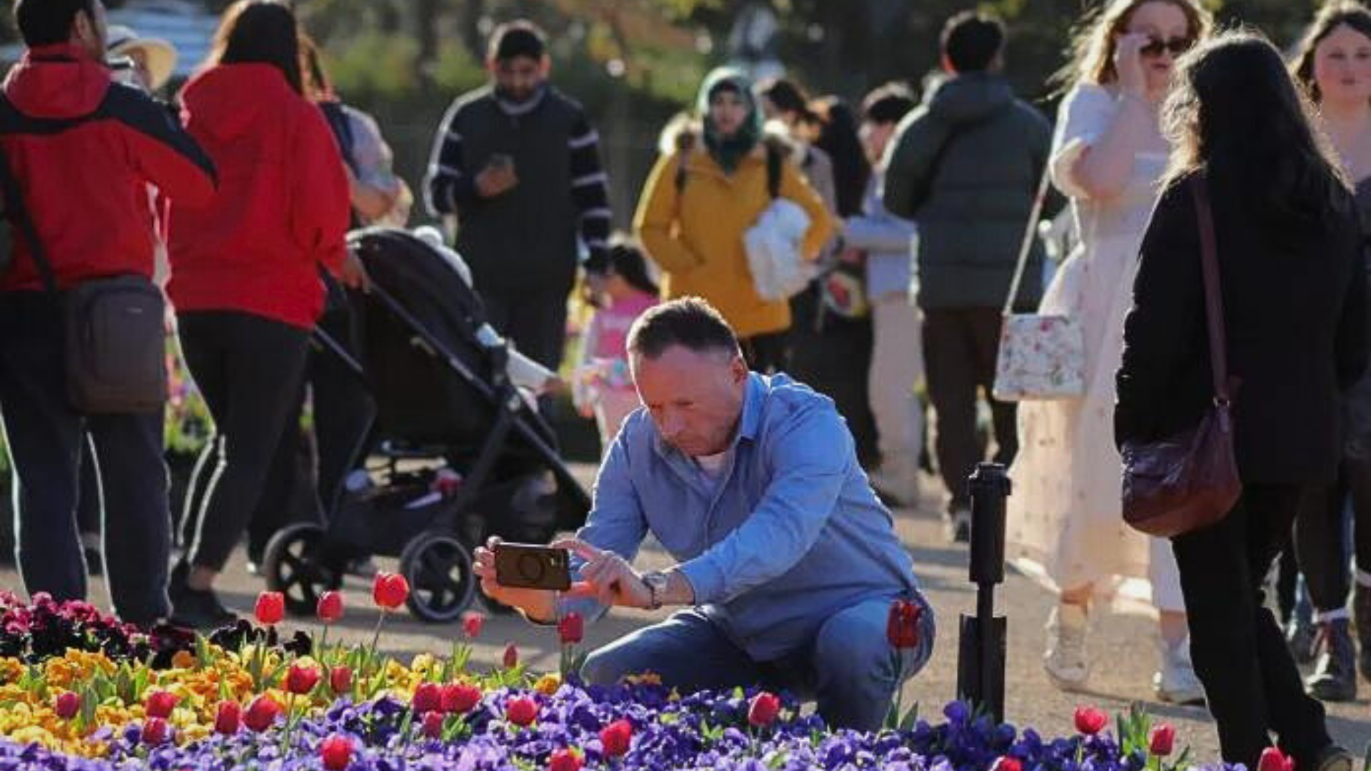 Austrália Alerta o Público Sobre o Aumento de Casos de Mpox com o Surto de Infecções