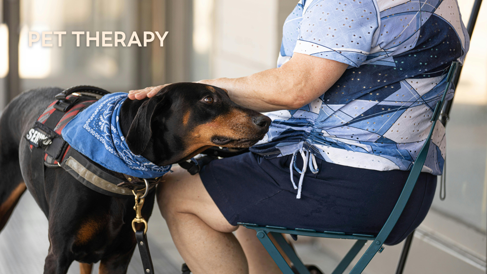 Penyembuhan Paws: Bagaimana Hewan Peliharaan Meningkatkan Kesehatan Kita